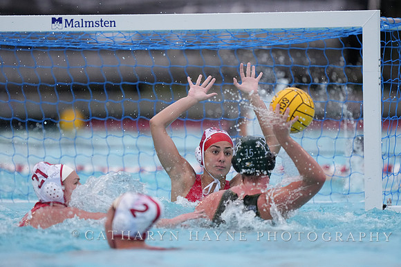 WWP: Marist College Red Foxes vs Concordia Golden Eagles