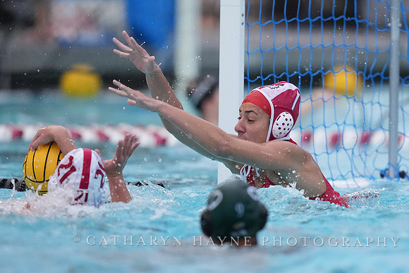 WWP: Marist College Red Foxes vs Concordia Golden Eagles