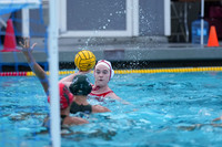 WWP: Marist College Red Foxes vs Concordia Golden Eagles