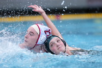 WWP: Marist College Red Foxes vs Concordia Golden Eagles