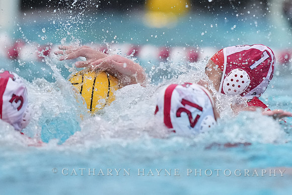 WWP: Marist College Red Foxes vs Concordia Golden Eagles