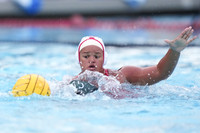 WWP: Marist College Red Foxes vs Concordia Golden Eagles