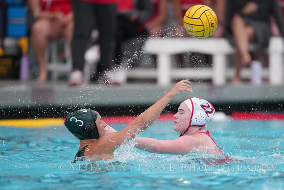 WWP: Marist College Red Foxes vs Concordia Golden Eagles