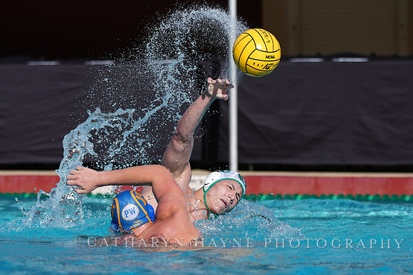 MWP: Salem University Tigers vs UCLA Bruins