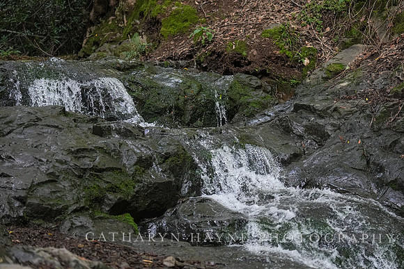 Dawn Falls - King Mountain