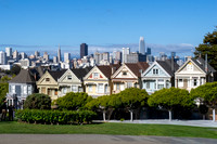Painted Ladies