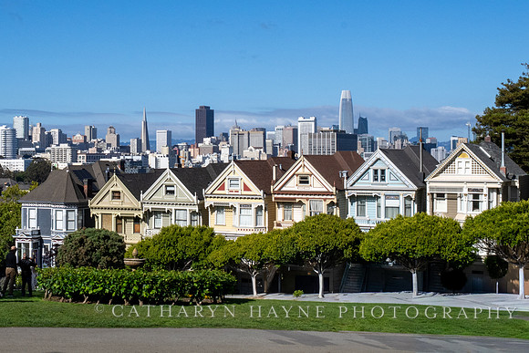 Painted Ladies