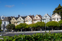 Painted Ladies