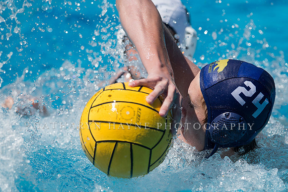 Cal Boys Water Polo Camp