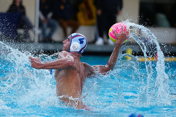 Nicolas Saveljic