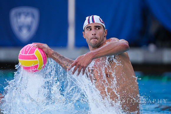 Nicolas Saveljic