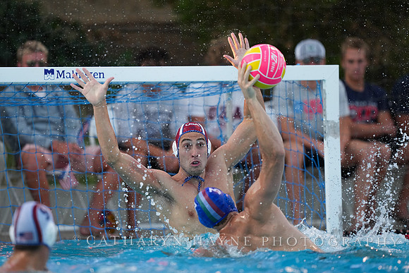 Bernardo Herzer