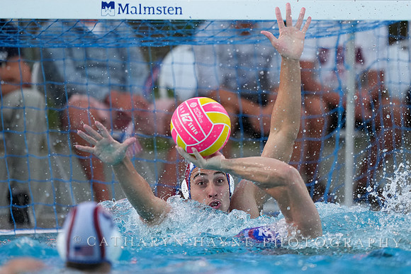 Bernardo Herzer