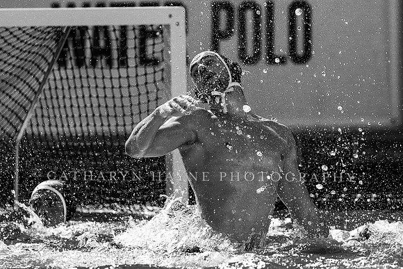 Collegiate Mens Water Polo: California Golden Bears vs UC Santa Barbara Gauchos