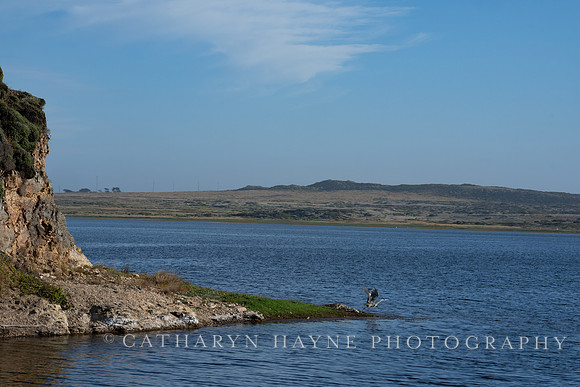 Abbotts Lagoon