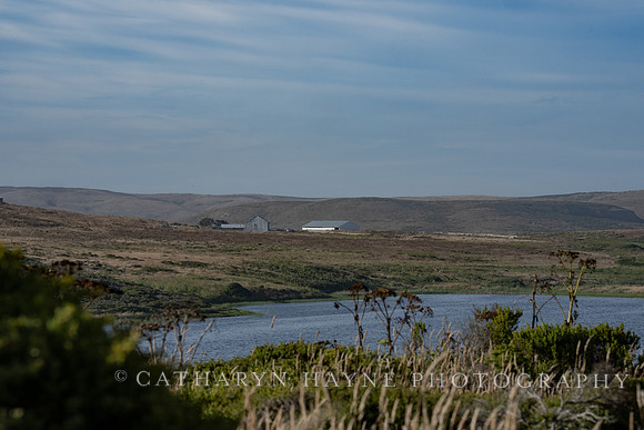 Abbotts Lagoon