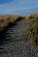 Abbotts Lagoon