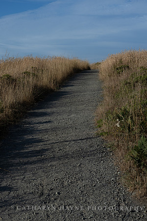 Abbotts Lagoon