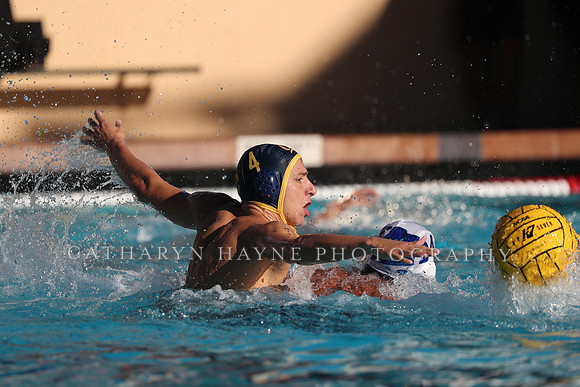 Collegiate Mens Water Polo: MPSF Invitational: California Golden Bears vs UC Santa Barbara Gauchos
