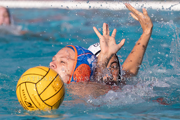 USA Water Polo Women's Water Polo Exhibition Series: USA vs Netherlands