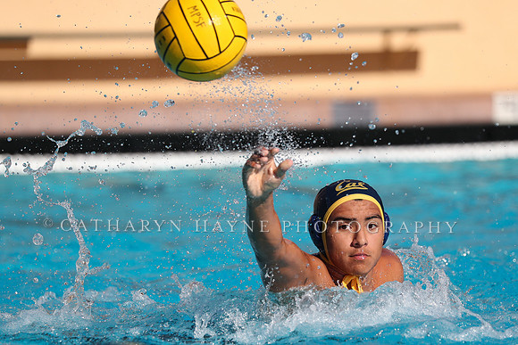 Collegiate Mens Water Polo: MPSF Invitational: California Golden Bears vs UC Santa Barbara Gauchos