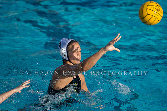 Cal vs SJSU at California Speedo Cup