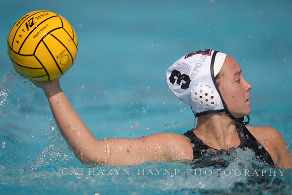 WWP: Brown University Bears vs SJSU Spartans