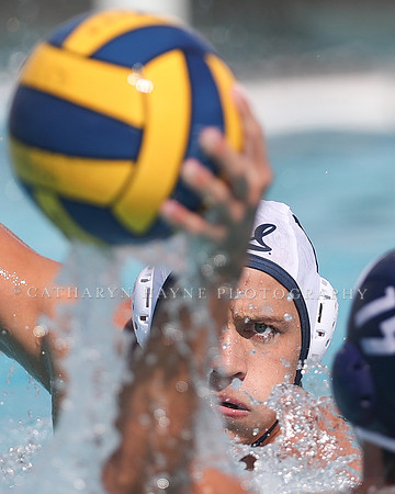 California Golden Bears vs UC Davis Aggies