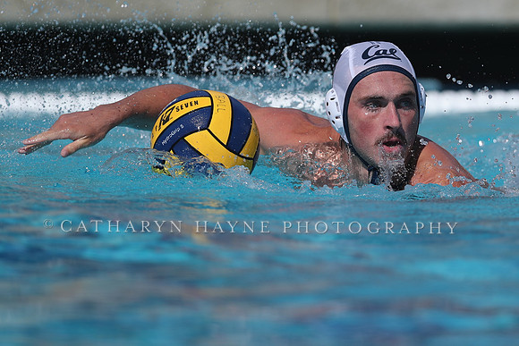 California Golden Bears vs UC Davis Aggies