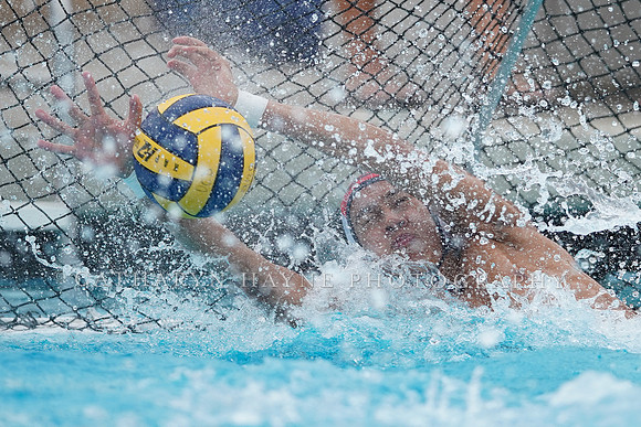 California Golden Bears vs UC Davis Aggies