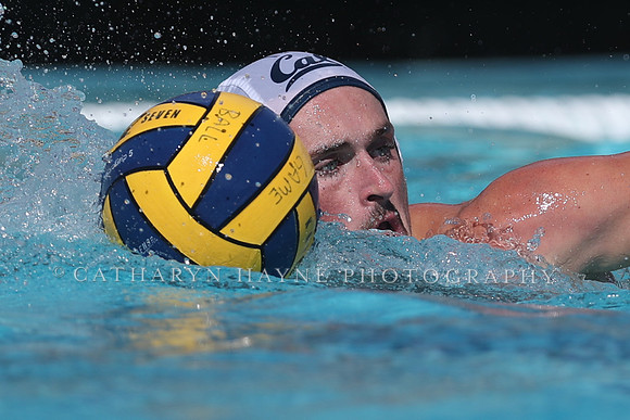 California Golden Bears vs UC Davis Aggies