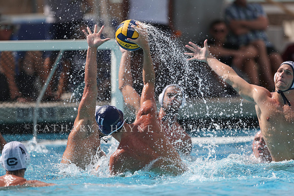 California Golden Bears vs UC Davis Aggies