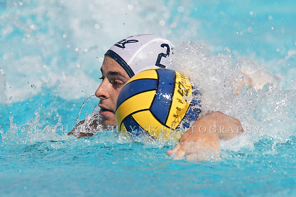 California Golden Bears vs UC Davis Aggies