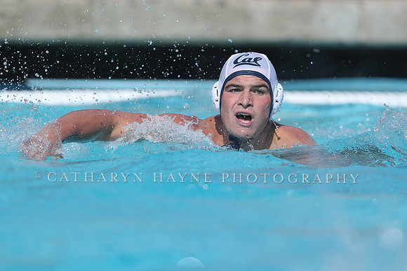 California Golden Bears vs UC Davis Aggies