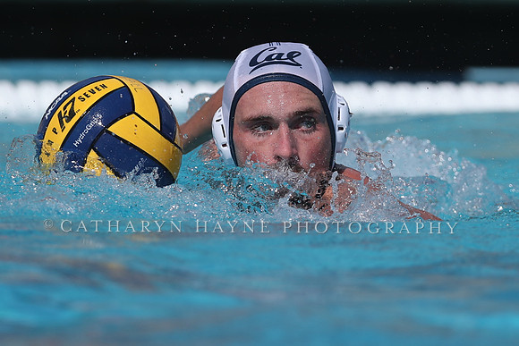 California Golden Bears vs UC Davis Aggies