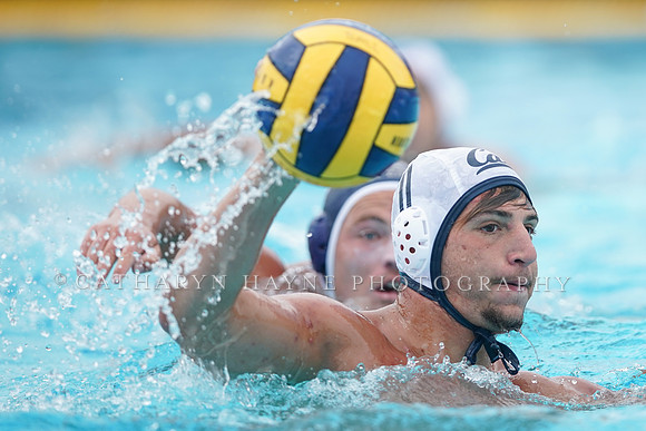 California Golden Bears vs UC Davis Aggies