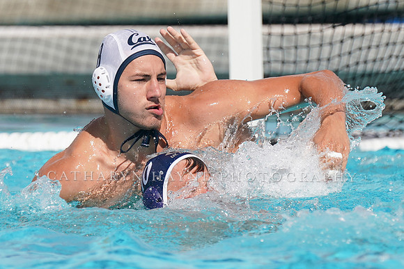 California Golden Bears vs UC Davis Aggies