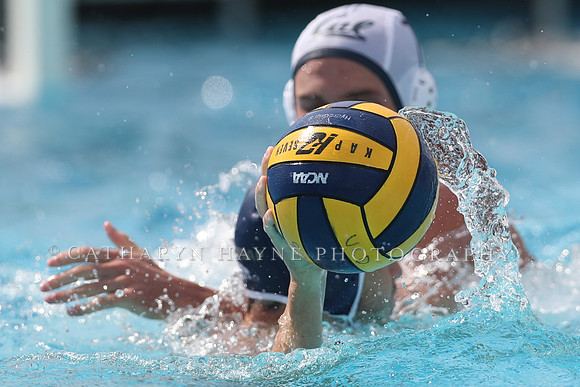 California Golden Bears vs UC Davis Aggies