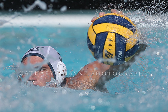 California Golden Bears vs UC Davis Aggies