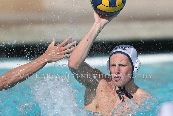 California Golden Bears vs UC Davis Aggies