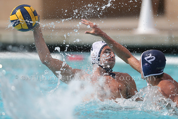 California Golden Bears vs UC Davis Aggies