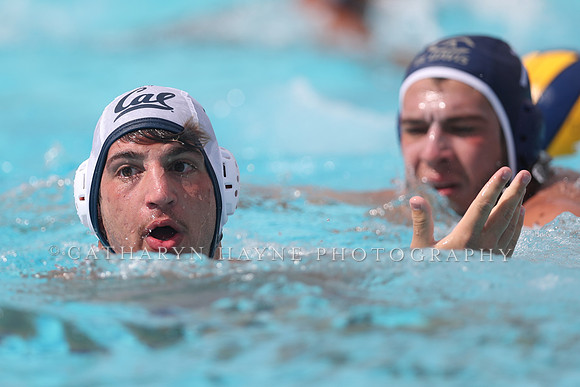 California Golden Bears vs UC Davis Aggies