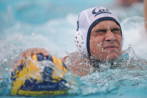 California Golden Bears vs UC Davis Aggies