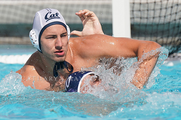 California Golden Bears vs UC Davis Aggies