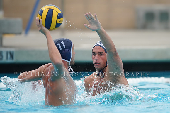 California Golden Bears vs UC Davis Aggies