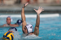 California Golden Bears vs UC Davis Aggies