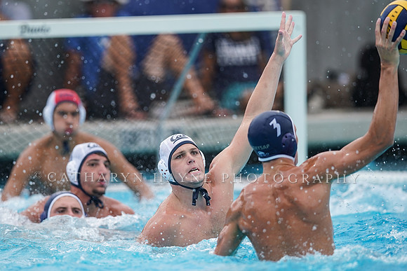 California Golden Bears vs UC Davis Aggies