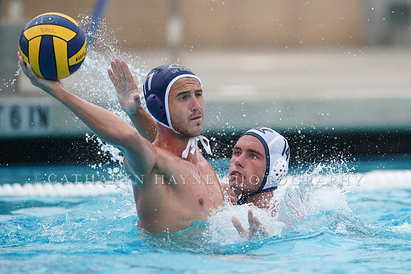 California Golden Bears vs UC Davis Aggies