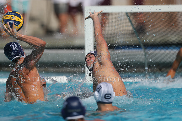 California Golden Bears vs UC Davis Aggies