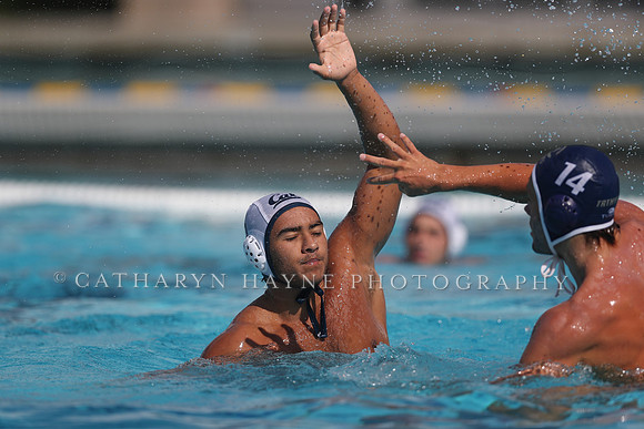 California Golden Bears vs UC Davis Aggies